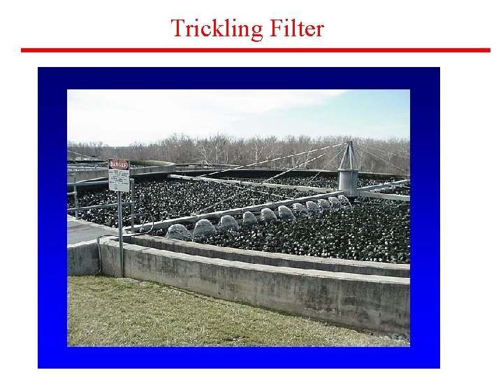 Trickling Filter 