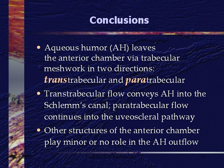 Conclusions • Aqueous humor (AH) leaves the anterior chamber via trabecular meshwork in two