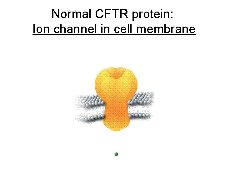 Normal CFTR protein: Ion channel in cell membrane 