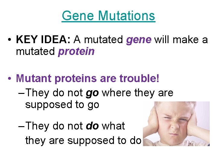 Gene Mutations • KEY IDEA: A mutated gene will make a mutated protein •