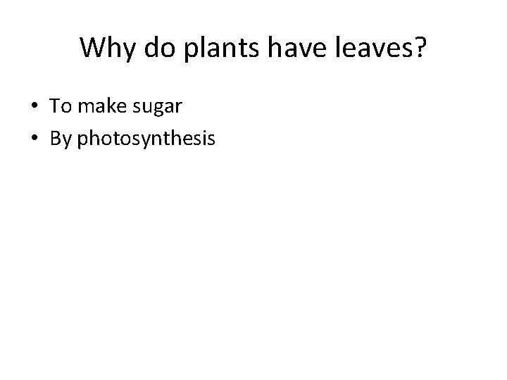 Why do plants have leaves? • To make sugar • By photosynthesis Why do plants have leaves? • To make sugar • By photosynthesis