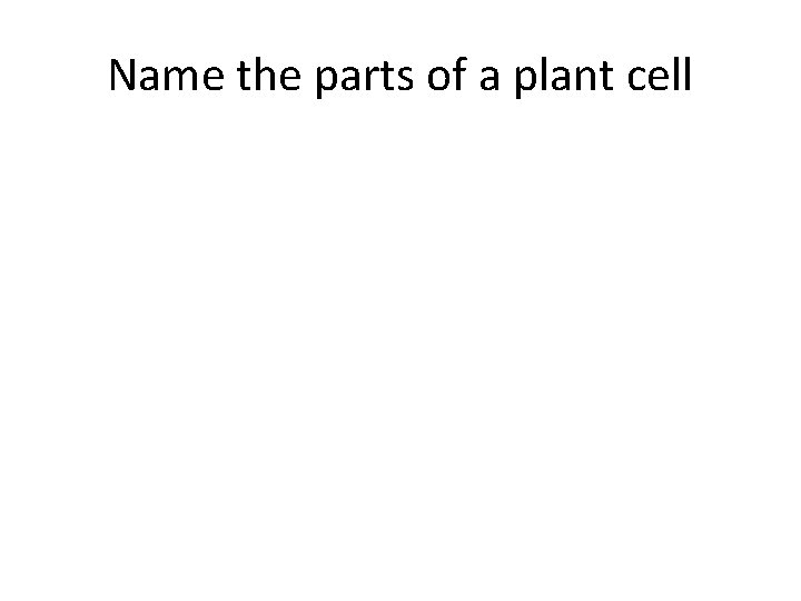 Name the parts of a plant cell Name the parts of a plant cell