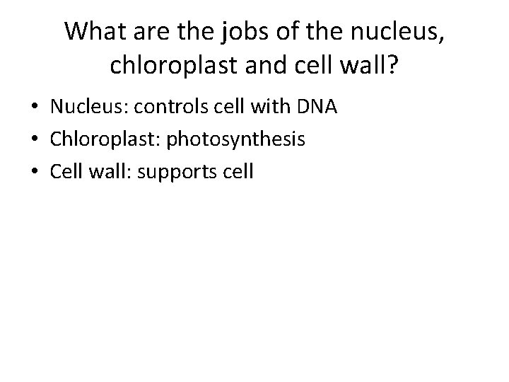 What are the jobs of the nucleus, chloroplast and cell wall? • Nucleus: controls What are the jobs of the nucleus, chloroplast and cell wall? • Nucleus: controls