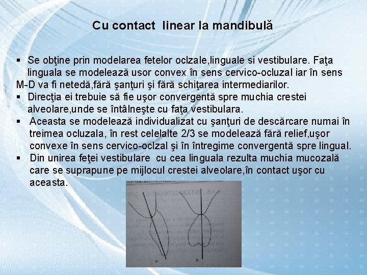 Cu contact linear la mandibulă § Se obţine prin modelarea fetelor oclzale, linguale si