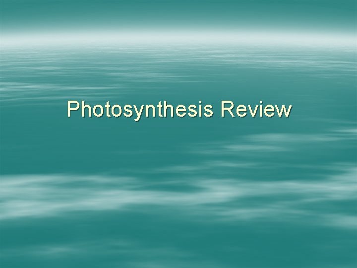 Photosynthesis Review 