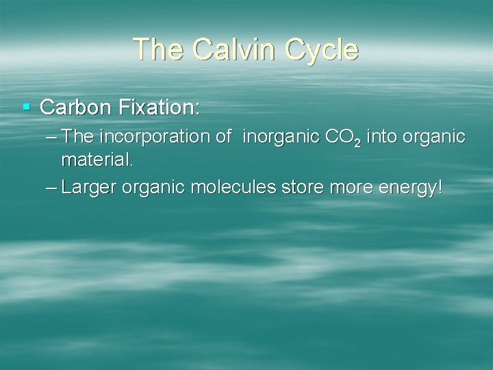 The Calvin Cycle § Carbon Fixation: – The incorporation of inorganic CO 2 into