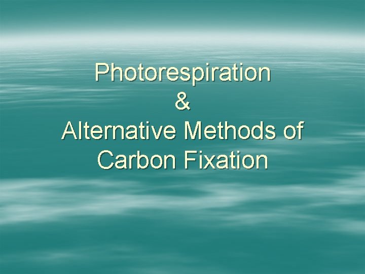 Photorespiration & Alternative Methods of Carbon Fixation 