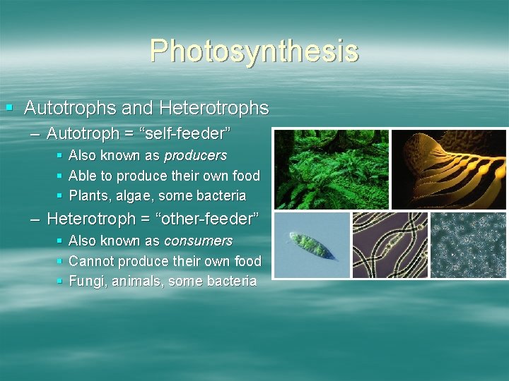 Photosynthesis § Autotrophs and Heterotrophs – Autotroph = “self-feeder” § § § Also known