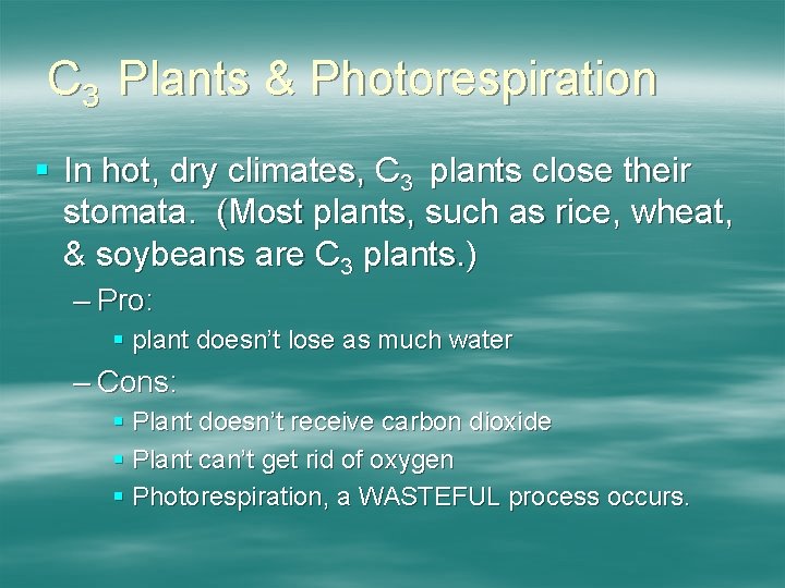 C 3 Plants & Photorespiration § In hot, dry climates, C 3 plants close