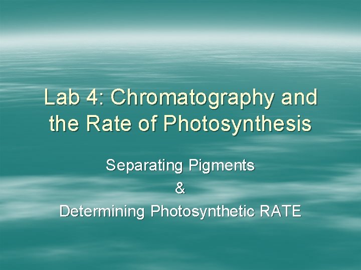 Lab 4: Chromatography and the Rate of Photosynthesis Separating Pigments & Determining Photosynthetic RATE