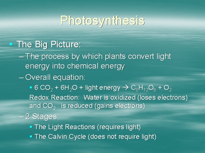 Photosynthesis § The Big Picture: – The process by which plants convert light energy