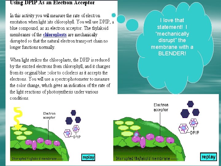 I love that statement! I “mechanically disrupt” the membrane with a BLENDER! 