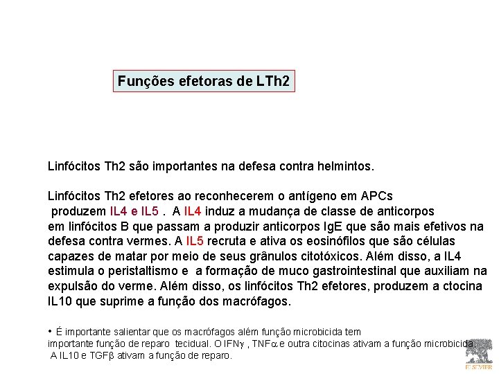 Funções efetoras de LTh 2 Linfócitos Th 2 são importantes na defesa contra helmintos.