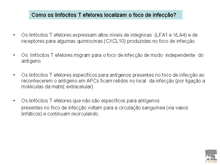 Como os linfócitos T efetores localizam o foco de infecção? • Os linfócitos T