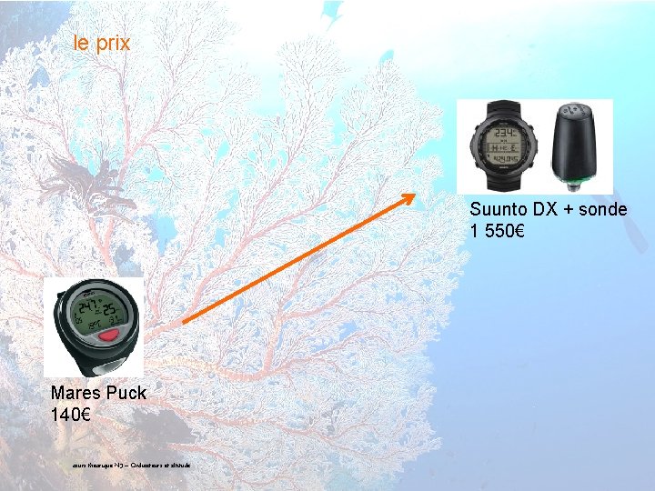 le prix Suunto DX + sonde 1 550€ Mares Puck 140€ 15 cours théorique