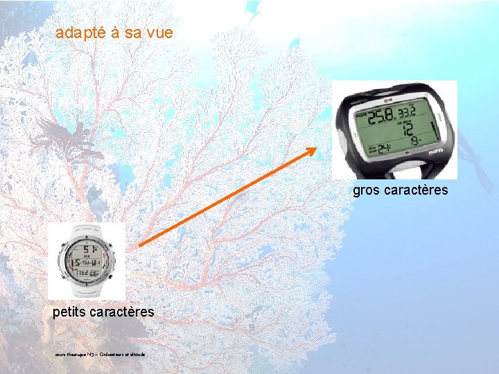 adapté à sa vue gros caractères petits caractères 16 cours théorique N 3 –