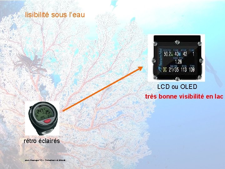 lisibilité sous l’eau LCD ou OLED très bonne visibilité en lac rétro éclairés 17