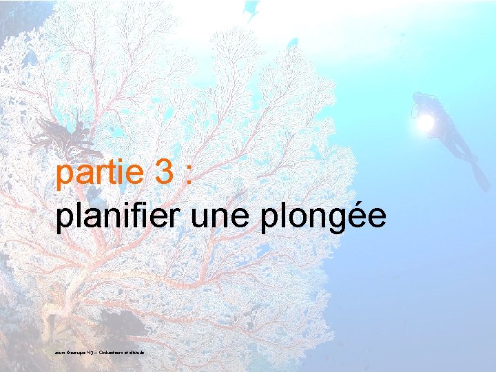 partie 3 : planifier une plongée 22 cours théorique N 3 – Ordinateurs et