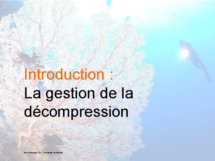Introduction : La gestion de la décompression 4 cours théorique N 3 – Ordinateurs