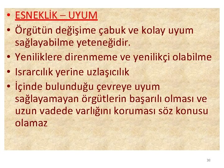  • ESNEKLİK – UYUM • Örgütün değişime çabuk ve kolay uyum sağlayabilme yeteneğidir.