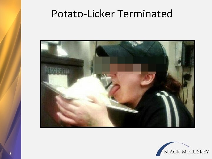 Potato-Licker Terminated 5 