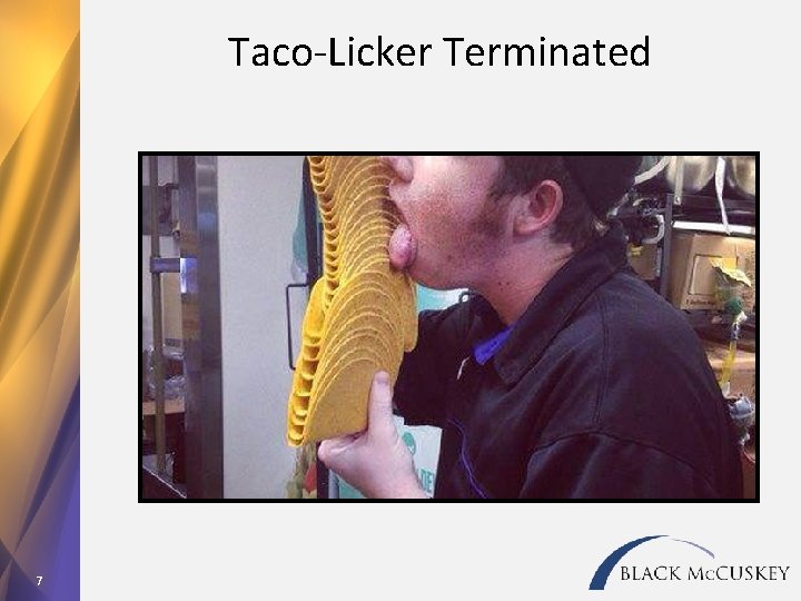 Taco-Licker Terminated 7 