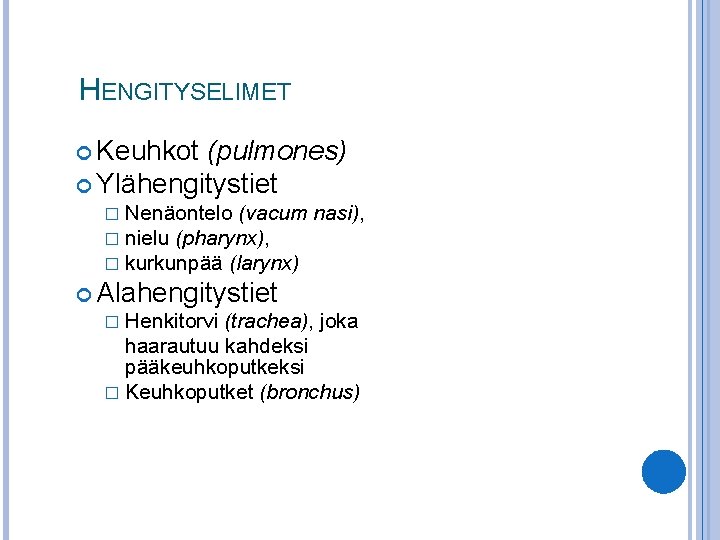 HENGITYSELIMET Keuhkot (pulmones) Ylähengitystiet � Nenäontelo (vacum � nielu (pharynx), � kurkunpää (larynx) nasi),