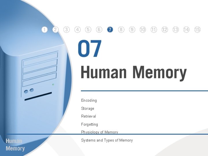 Encoding Storage Retrieval Forgetting Physiology of Memory Systems and Types of Memory 