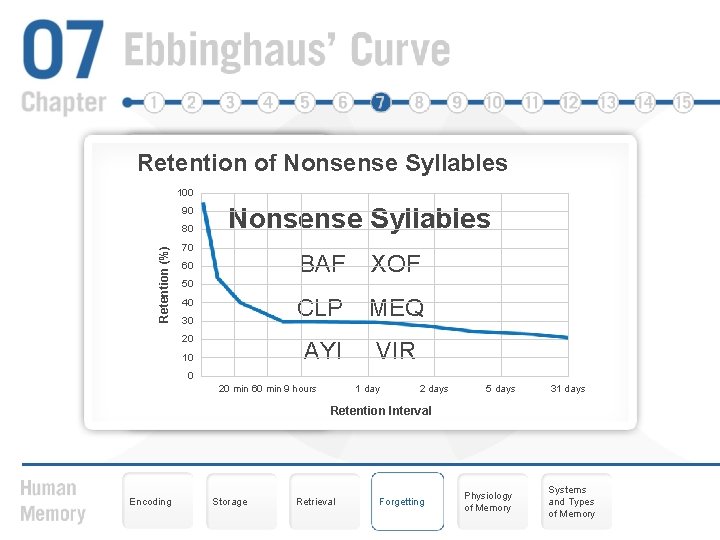 Retention of Nonsense Syllables 100 90 Retention (%) 80 Nonsense Syllables Forgetting 70 60