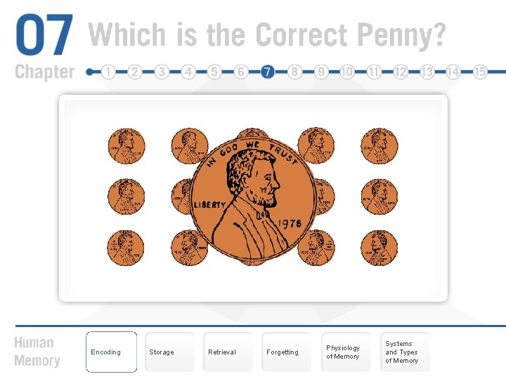 Encoding Storage Retrieval Forgetting Physiology of Memory Systems and Types of Memory 