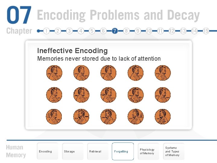 Ineffective Encoding Memories never stored due to lack of attention Encoding Storage Retrieval Forgetting