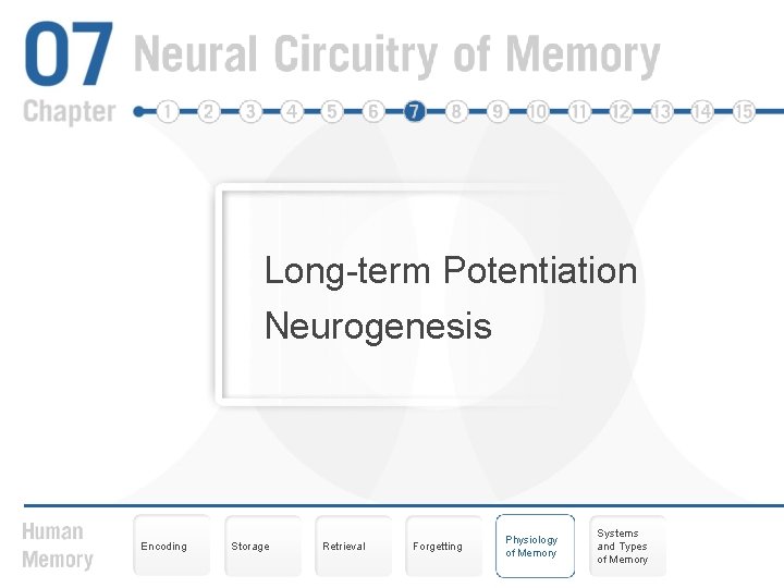 Long-term Potentiation Neurogenesis Encoding Storage Retrieval Forgetting Physiology of Memory Systems and Types of