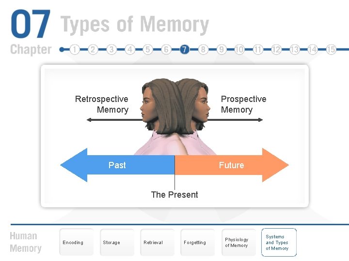 Retrospective Memory Past Future The Present Encoding Storage Retrieval Forgetting Physiology of Memory Systems