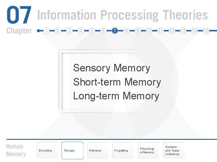Sensory Memory Short-term Memory Long-term Memory Encoding Storage Retrieval Forgetting Physiology of Memory Systems
