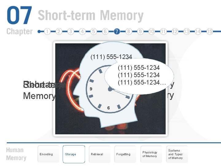 (111) 555 -1234 12 Rehearsal Short-term Memory 9 (111) 555 -1234… Sensory 3 Memory