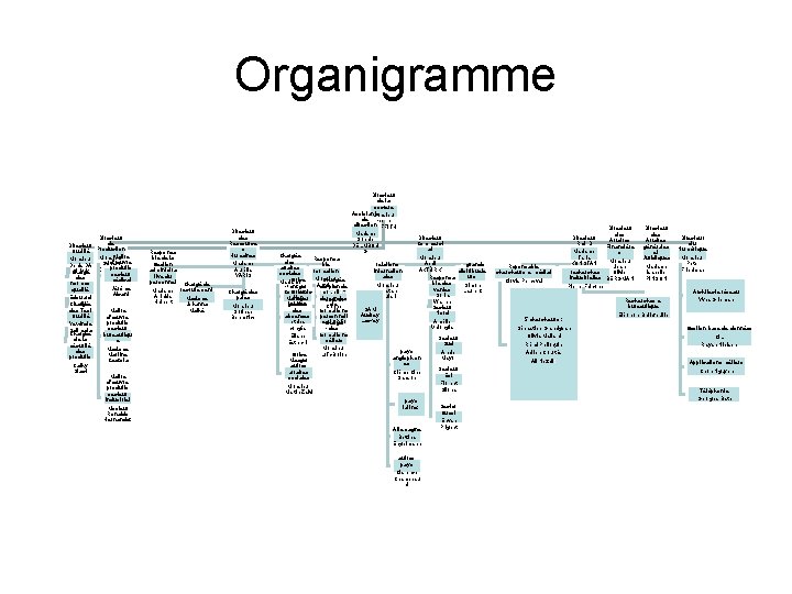 Organigramme Directeur de Directeur Qualité Production Maître Monsieur d’œuvre Sylvain Denis DA produits DUMONT