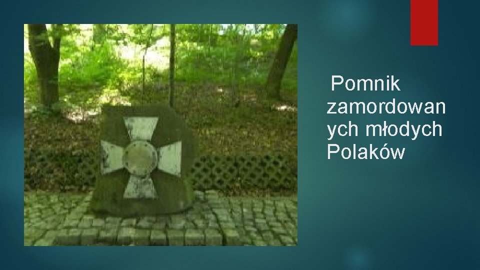 Pomnik zamordowan ych młodych Polaków 