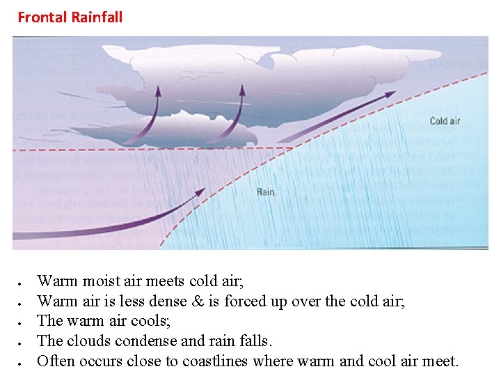 Frontal Rainfall Warm moist air meets cold air; Warm air is less dense &