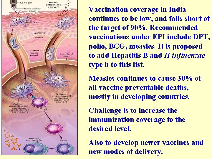 Vaccination coverage in India continues to be low, and falls short of the target