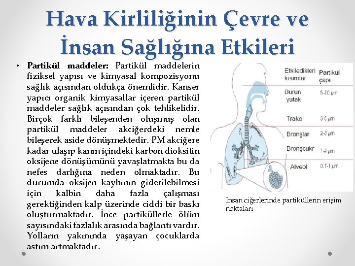 Hava Kirliliğinin Çevre ve İnsan Sağlığına Etkileri • Partikül maddeler: Partikül maddelerin fiziksel yapısı