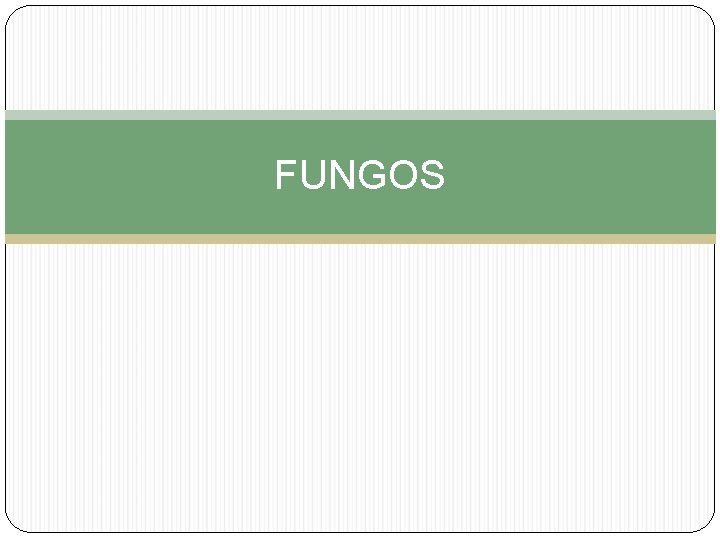 FUNGOS 