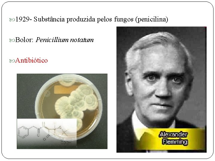  1929 - Substância produzida pelos fungos (penicilina) Bolor: Penicillium notatum Antibiótico 