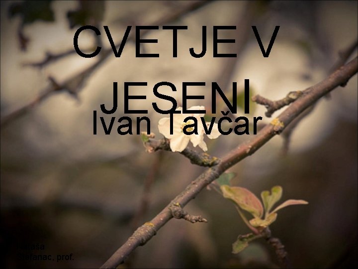 CVETJE V JESEN I Ivan Tavčar Nataša Štefanac, prof. 