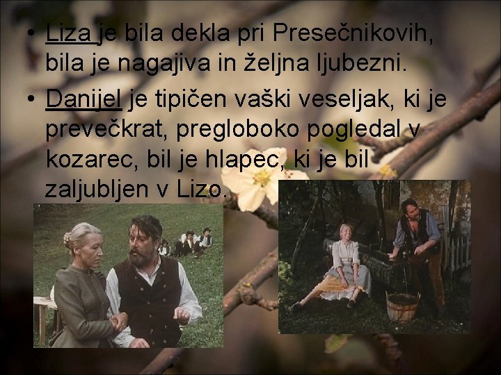  • Liza je bila dekla pri Presečnikovih, bila je nagajiva in željna ljubezni.