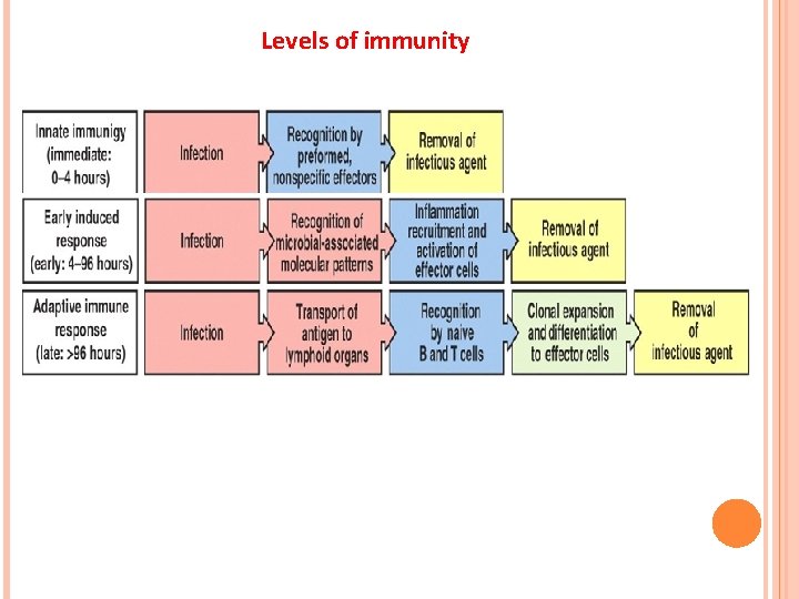 Levels of immunity 