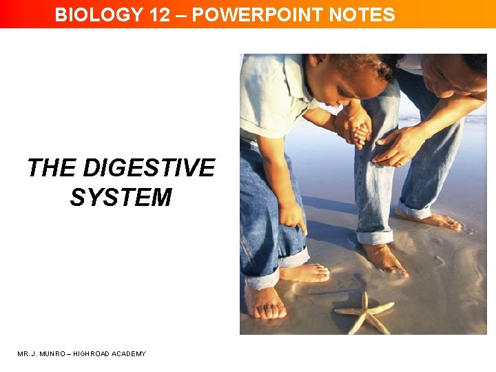 BIOLOGY 12 – POWERPOINT NOTES THE DIGESTIVE SYSTEM MR. J. MUNRO – HIGHROAD ACADEMY
