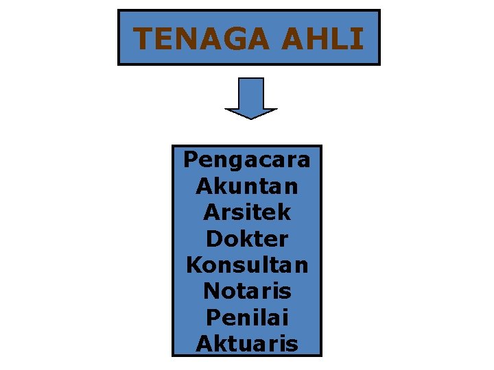 TENAGA AHLI Pengacara Akuntan Arsitek Dokter Konsultan Notaris Penilai Aktuaris 