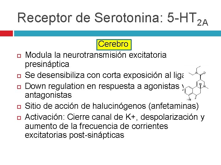 Receptor de Serotonina: 5 -HT 2 A Cerebro Modula la neurotransmisión excitatoria presináptica Se Receptor de Serotonina: 5 -HT 2 A Cerebro Modula la neurotransmisión excitatoria presináptica Se