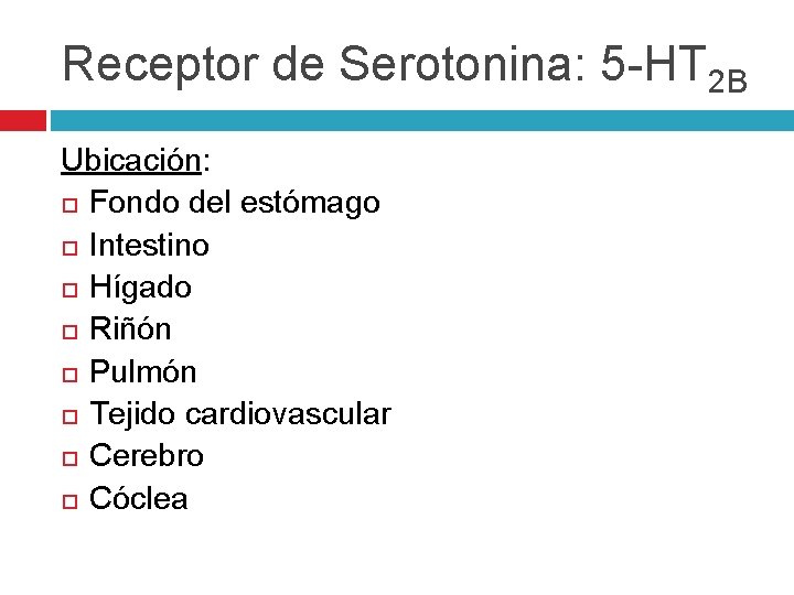 Receptor de Serotonina: 5 -HT 2 B Ubicación: Fondo del estómago Intestino Hígado Riñón Receptor de Serotonina: 5 -HT 2 B Ubicación: Fondo del estómago Intestino Hígado Riñón