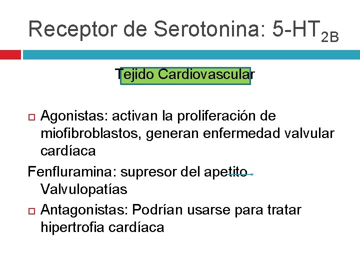 Receptor de Serotonina: 5 -HT 2 B Tejido Cardiovascular Agonistas: activan la proliferación de Receptor de Serotonina: 5 -HT 2 B Tejido Cardiovascular Agonistas: activan la proliferación de